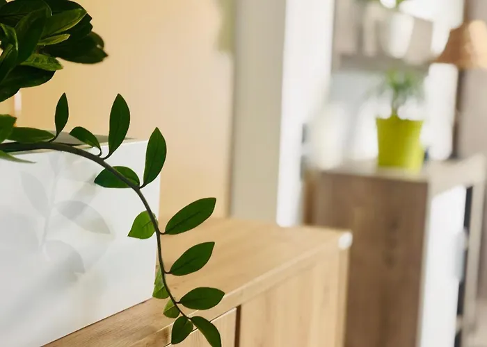 Διαμέρισμα Ck *